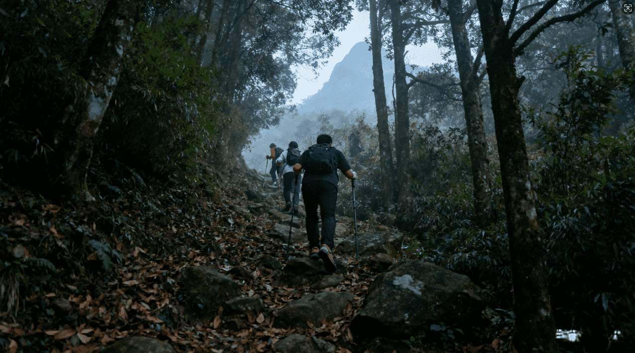 飞机大厨安卓加速器使用指南：全面提升游戏体验方法详解